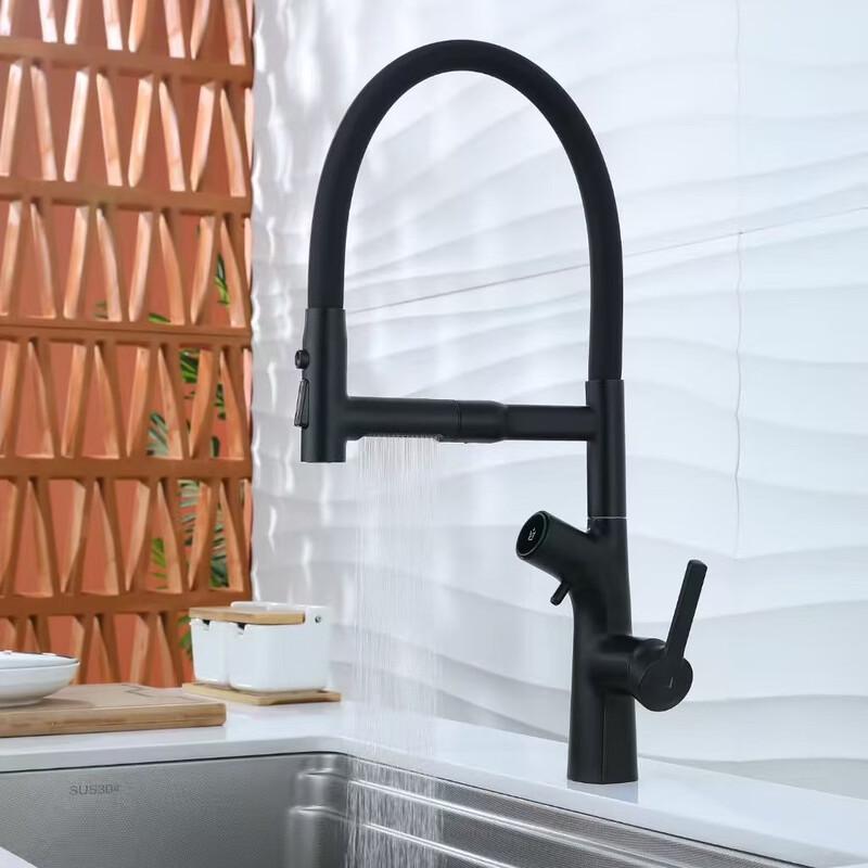 TLXT Magnetic Wall-Mounted Kitchen Faucet