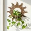 Wall Shelf Hydroponic Frame Plant Plant Holder Durable Wall-Mounted with Transparent Test