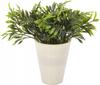 Artificial Decorative Plant In a 17 Cm Pot