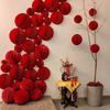 Tissue Paper Tissue Paper Lantern Honeycomb Design DIY Decoration  Party Supplies