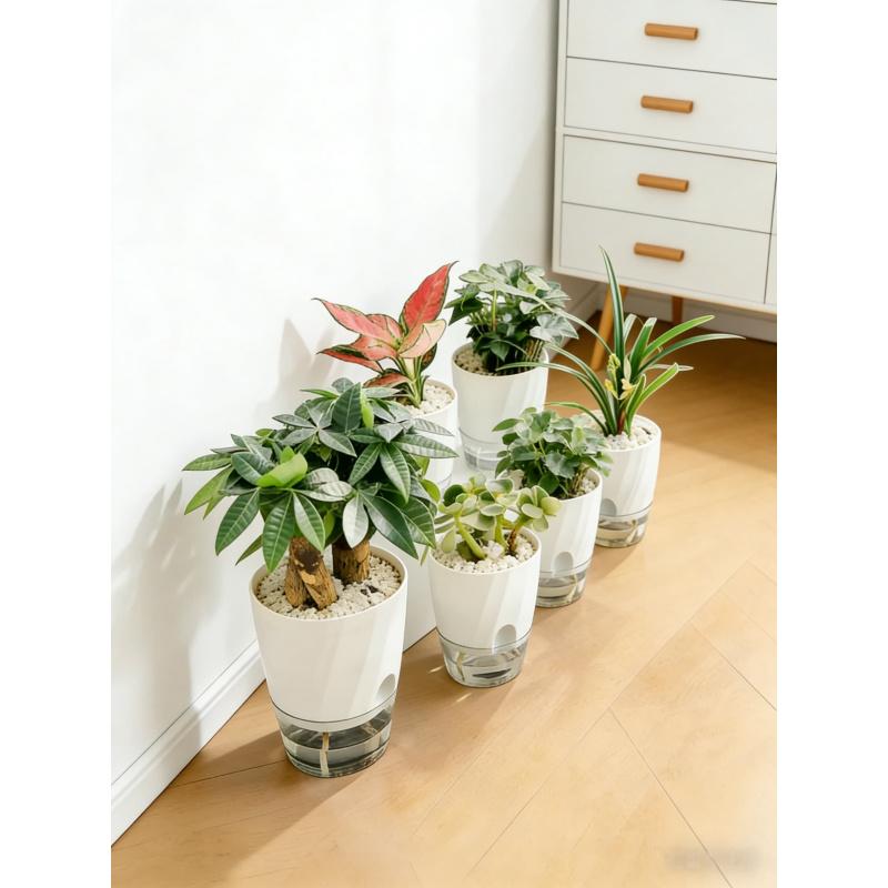 Thickened Transparent Self-Watering Green Radish Flower Pot for Home Use, Lazy Person's Special Indoor Green Plant Container wit