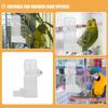 4Pcs Automatic Bird Water Dispenser Cage Feeder Parrot Water Bottle Drinker No Mess for Budgie Cockatiel Parakeet