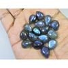 10X13MM Natural Labradorite Blue Fire Pear Cabochon Loose Gemstone 16Pcs Lot C-1128