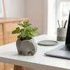 Animal Design 3D Printed Elephant Flowerpot Small Cactus Plant Holder  Living Room TV Cabinets