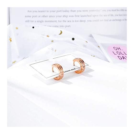 Rockyu Earrings, Women's, Adults, Pink Gold, Titanium Ring Earrings, Simple Design, Hoop Earrings, Hypoallergenic To Metal, 18K Earrings, Binaural