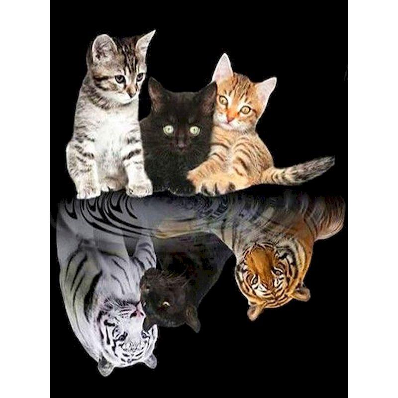 

GATYZTORY 60x75cm Frame Paint By Numbers For Adults Handmade Diy Gift Animal Oil Picture By Number Home Decor Art Crafts 30x20cm no frame