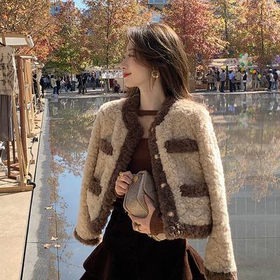 Vintage Faux Lamb Wool Coat Women Korean Patchwork Cropped Faux Fur Jacket Elegant Thicken Warm Short Outerwear Tops New
