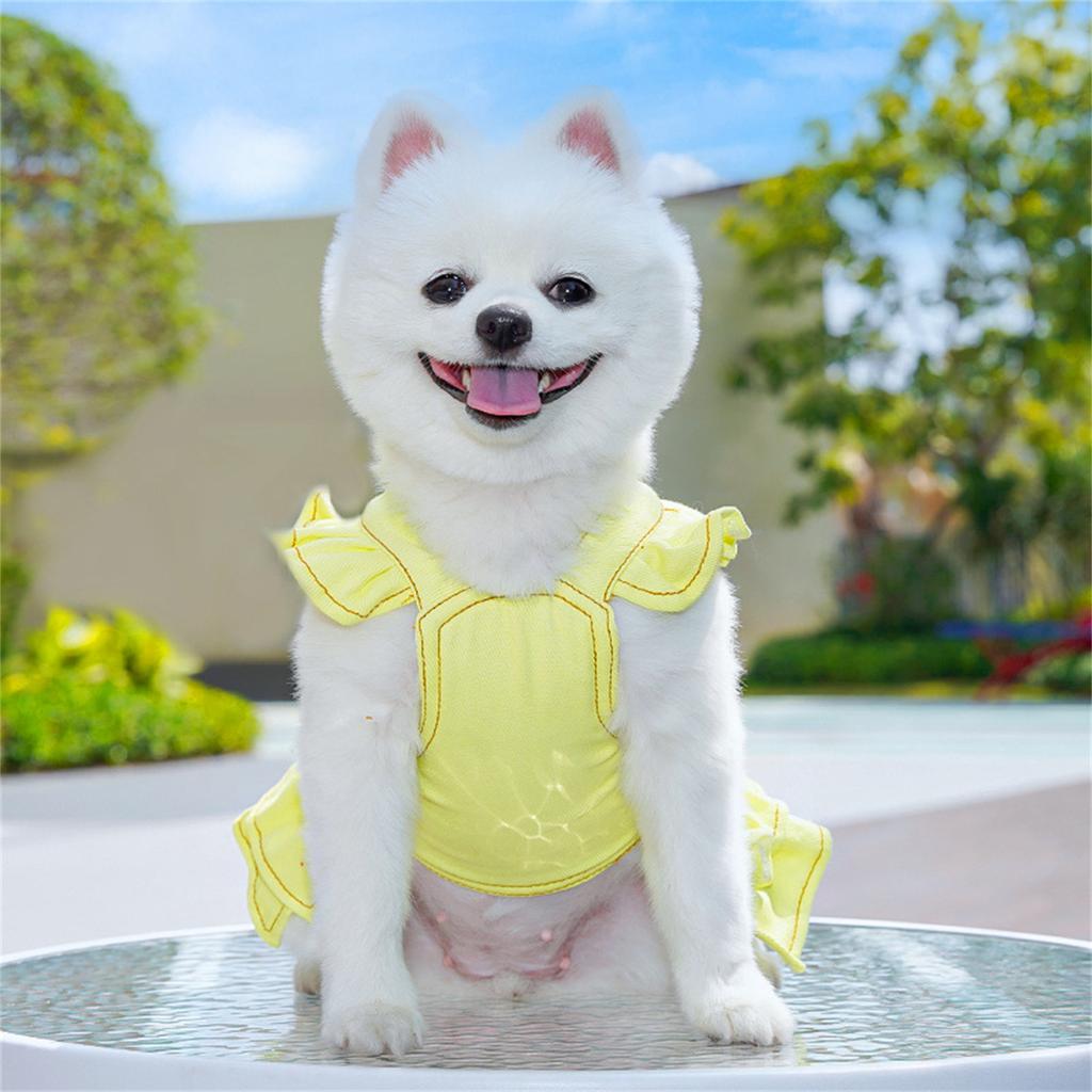 Bright Dog Harness Dress with Lead for Small Breeds Walking Training Vest for Comfortable and Safety Outdoor Activity