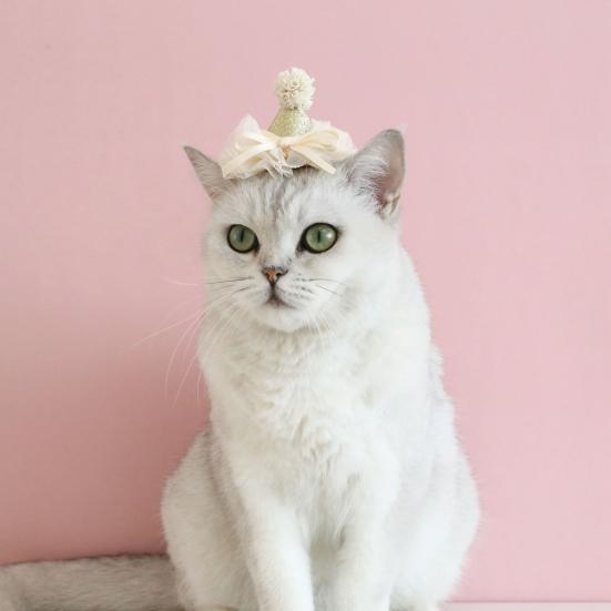 Katzenmütze für Haustiere, Schleifenknoten-Design, leuchtende Farben, hautfreundlich, ultraleichter Spitzenbesatz