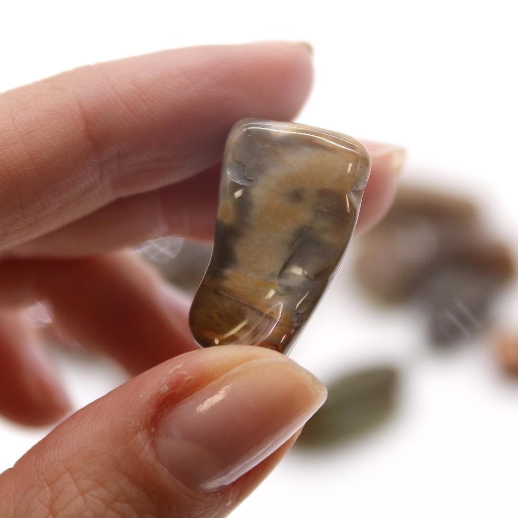 Petrified Wood Tumbled Stones, 24 Pieces