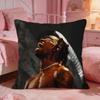 AAAP RRocky Cushion Cover Premium Comfort Reversible Pillow Cove Two In One Design For Any Room  Car Interior