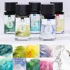 18ml Glass Bottle Color Gold Powder Ink Tonable Non-carbon Vegetable Dye Art Dip Pen Watercolor Painting Creation Toning Ink