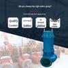 Submersible Sewage & Pipeline Booster Pump for Hot/Cold Water and Agricultural Irrigation
