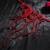 Red Halloween Choker Tassel Gothic Jewelry Retro Blood Drop Necklace  Party