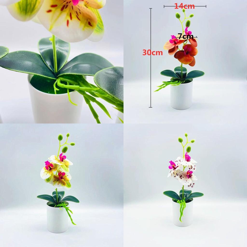 Realistic Handmade Pvc Orchid Arrangement For Indoor Decoration And Collectors