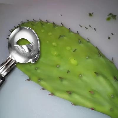Cactus Peeler Set - Stainless Steel Fruit & Vegetable Peeler, Spoon-Shaped Melon Baller Scoop, and Seed Remover Kitchen Gadgets for Home