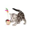 Scratching Cat Interactive Toys Playing Sisal Molar Ball Chew Ball Cat Scratching Ball Cat Balls