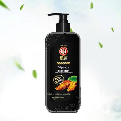 Şampoane şi balsamuri pentru păr – Şampoane