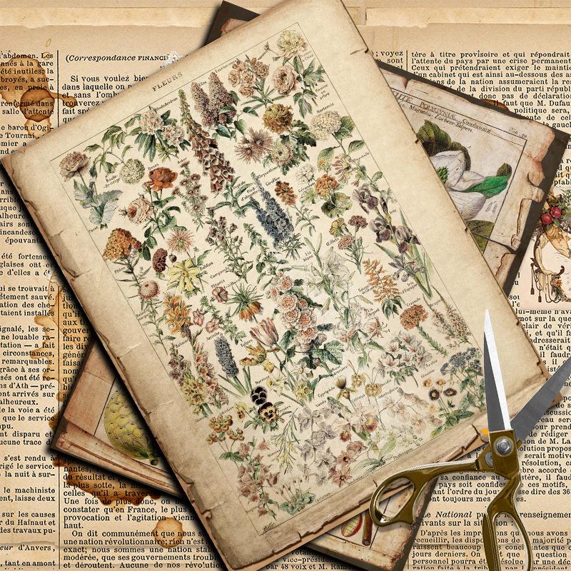 Retro Distressed Plant Book Page 14x18cm Material Paper for Journal Collage Decoration, 10 Sheets