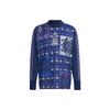 Argentina Team Soccer Jerseys Men's Blue Moderate Straight Fit HF3957
