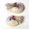 Plastic Cambrian Sea Creature Figurines Baculite Opabinia Nautilus Trilobita Eurypterida Model Miniature Prehistoric Figures Toy