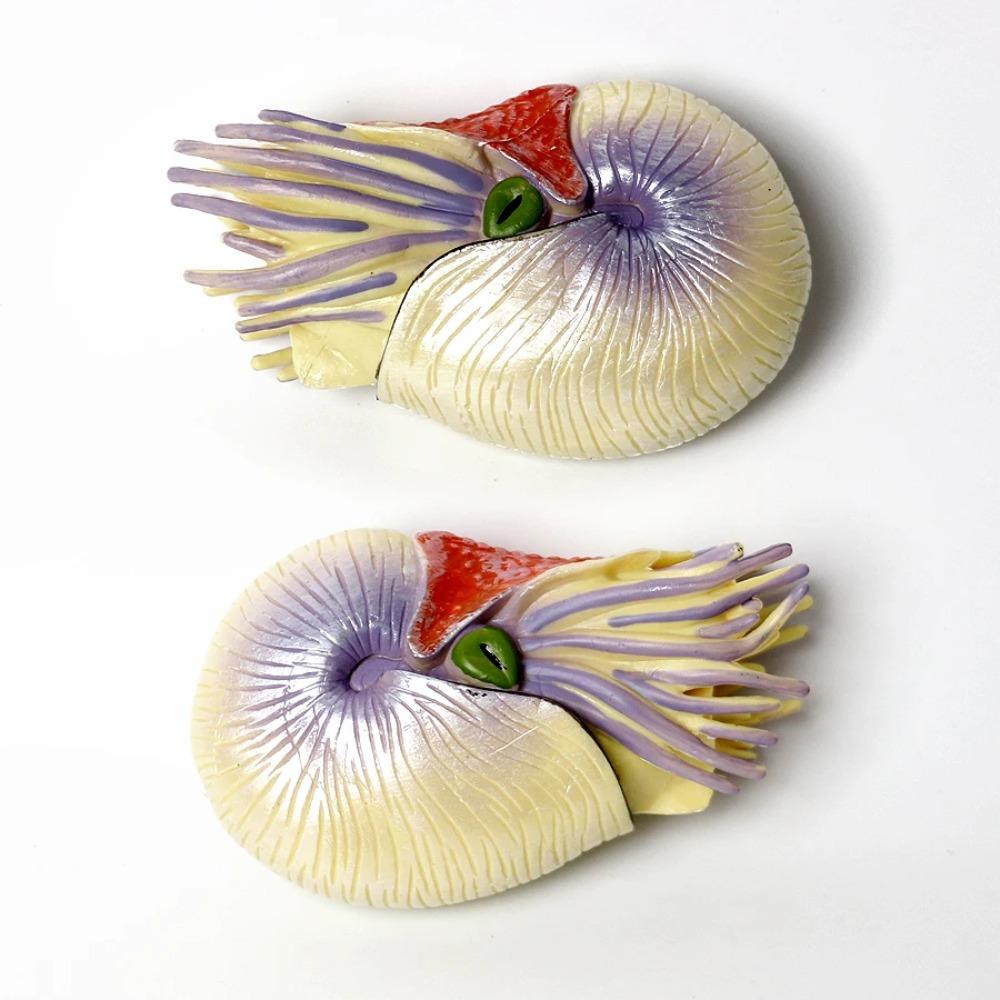 Plastic Cambrian Sea Creature Figurines Baculite Opabinia Nautilus Trilobita Eurypterida Model Miniature Prehistoric Figures Toy