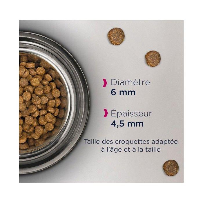 Eukanuba Croquettes Chaton - Sans céréales Saumon 2 kg