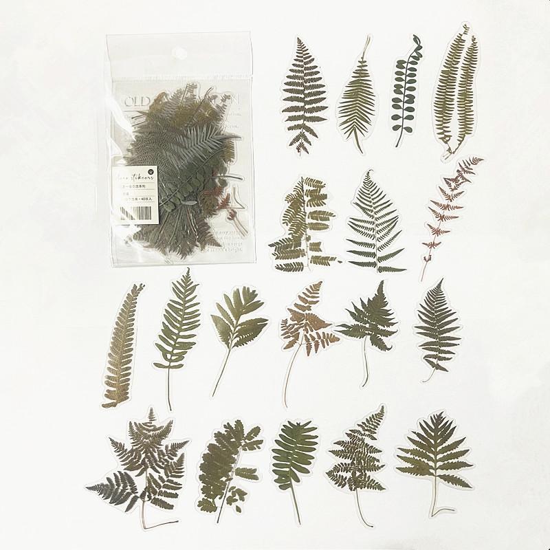 40pcs/bag Vintage Ginkgo Leaves Flowers PET Sticker Package DIY Diary Decoration Sticker Album Scrapbooking