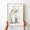Plakat niedźwiadek polarny plakat dla dziecka