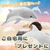 Extra-large stuffed sea creature cushion/body pillow made of PP cotton, fluffy and soft, perfect as a gift (dolphin, 70cm)