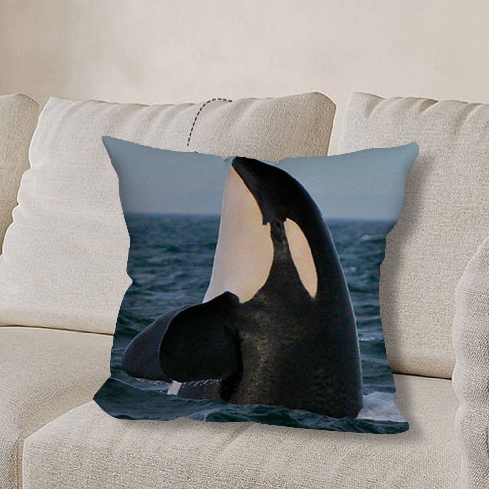 O-Orca Velryba W-Velryby Povlak na polštář Pohovka Obývací pokoj Ložnice Čelo postele Opěrka Polštář Čtvercový polštář Čas na zdřímnutí