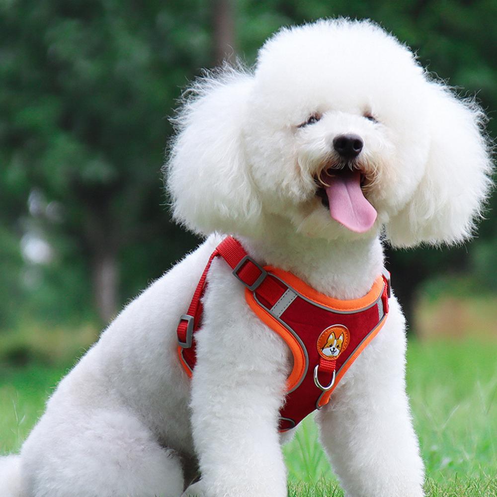Dog With 15m Harness Traction Leash Set No Pull Dog Vest Strap Adjustable Reflective Breathable Harness For Dogs Puppy And Cats