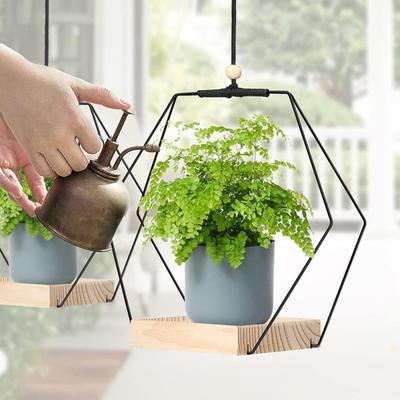 Hängepflanzenhalter mit Holzsockel Bauernhaus Rustikal Innen Hängende Blume