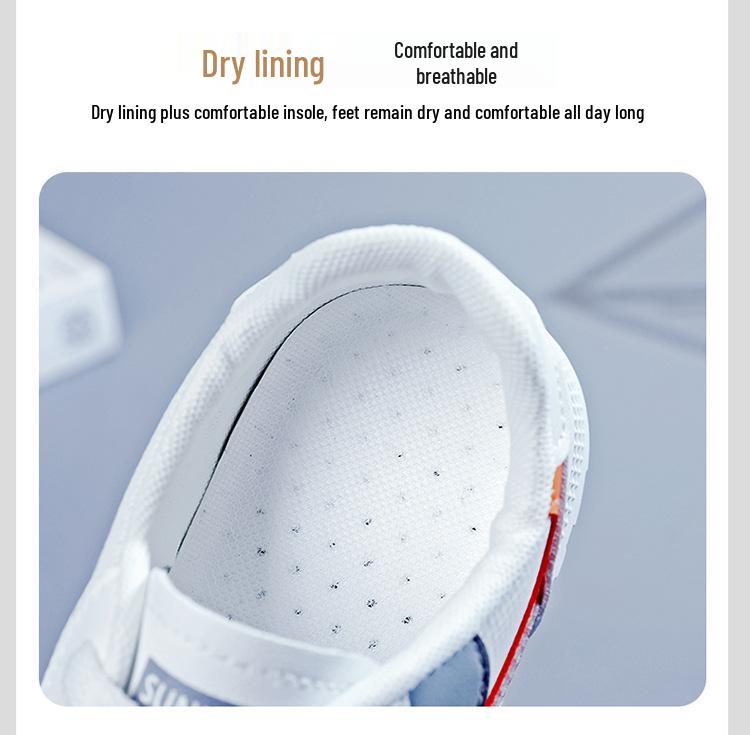 Versatile Women's Forrest Gump Shoes 2024: Breathable Korean Style Running Shoes for Spring & Autumn, Ideal for Students (Model B611).