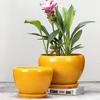 Simple Flower Pot Chinese Style Yellow Flower Glaze Ceramic Pot Indoor Large Succulent Plant Pot with Tray Outdoor Balcony Breathable Planter