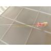 Pet Urinary Catheter Tool for Cat Urinary Catheterization Veterinary Supplies top sale