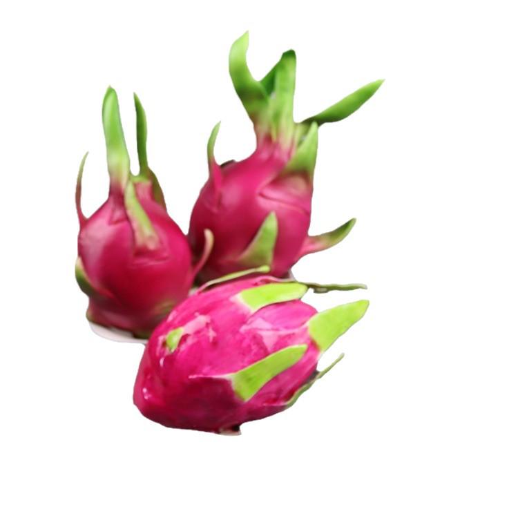 Artificial Dragon Fruit Home Decor & Photography Prop