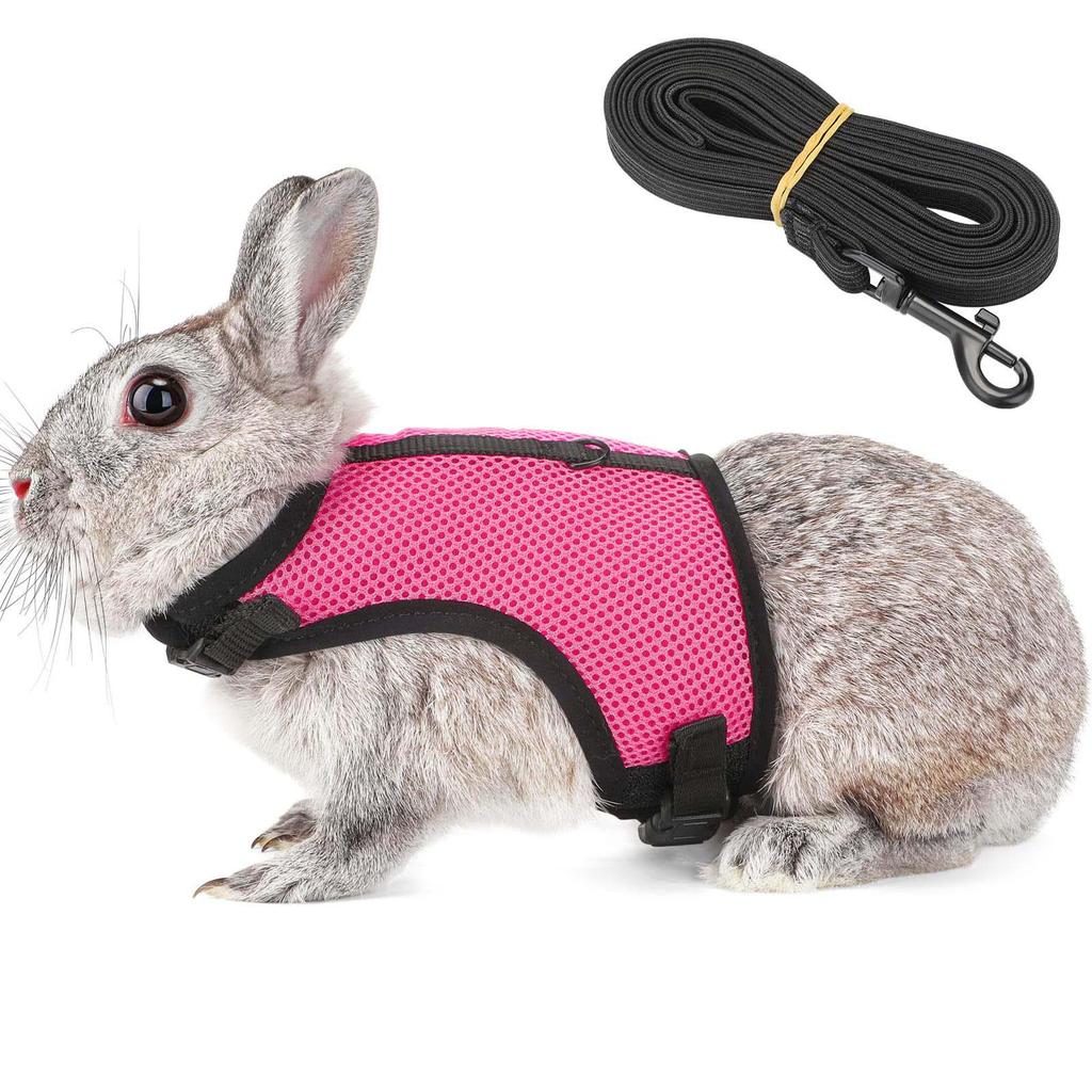 Breathable Mesh Rabbit & Small Dog Chest Harness with Leash