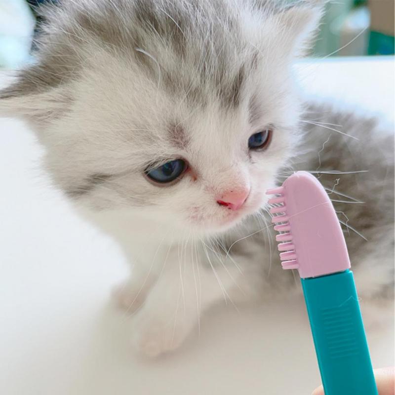 Environmentally Friendly Cat Eyebrush Handheld Eyebrush Cleaning Reusable Design Pet Comb Tear Stain Brush Pet Cleaning Supplies