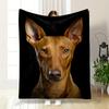 Reversible Flannel Fleece Blanket with Digital Print of Pharaoh King of Dogs - Light Brown with Yellow Eyes and Black Ears, Soft