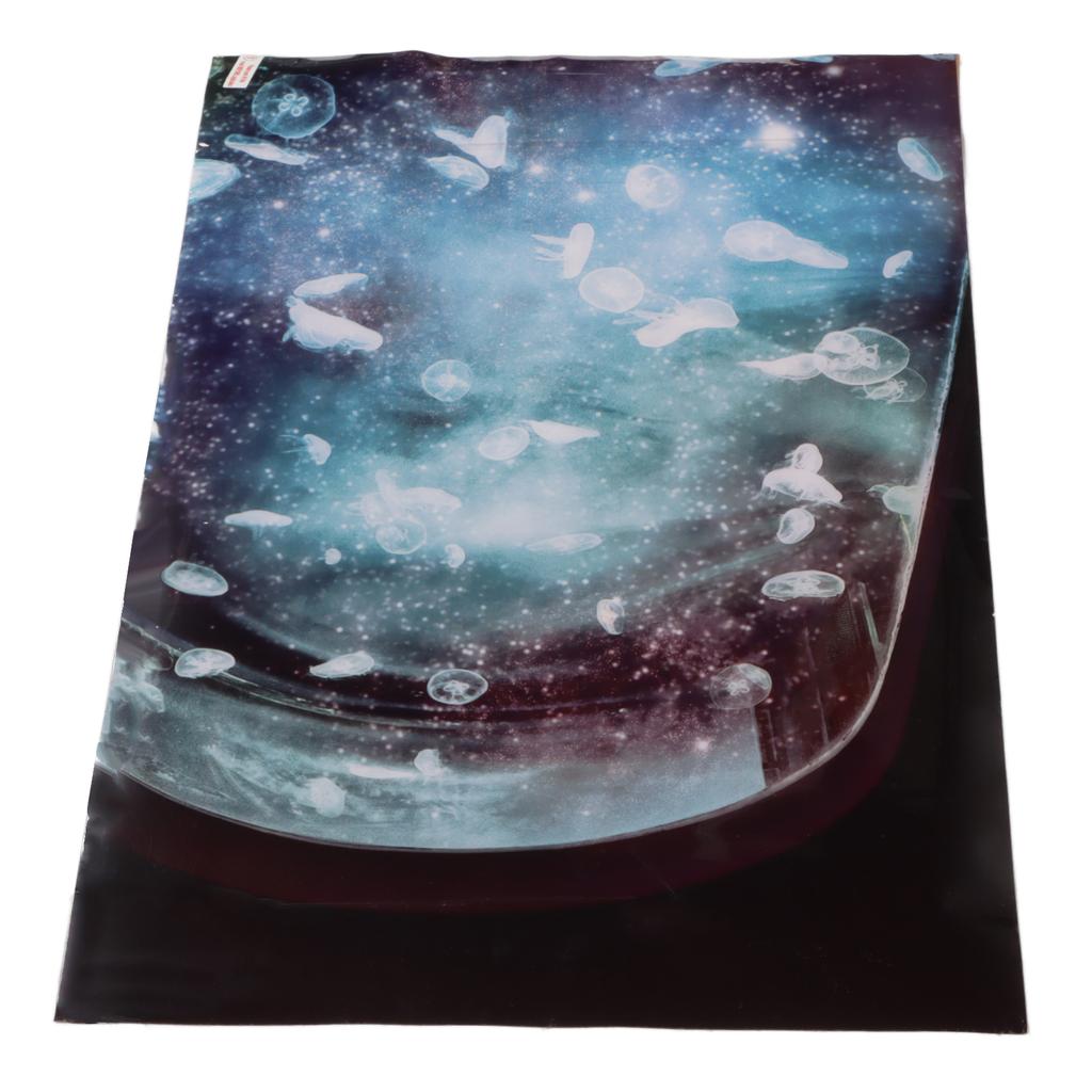Aquarium Hintergrund PVC Mehrzweck 3D Effekte Fischbecken Dekoration Bild für Fischbecken Aquascape