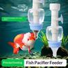 Vissen en zeedieren – Aquarium onderhoud