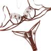 Embroidered Mesh Low-Waist French Lingerie Set