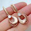 Full Shiny Natural Zircon Dangle Earrings For Women Unique Pattern  Rose Gold Color Wedding Jewelry Best Gift