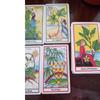 The Herbal Tarot Cards and PDF Guidance Divination Deck Entertainment Parties Board Game