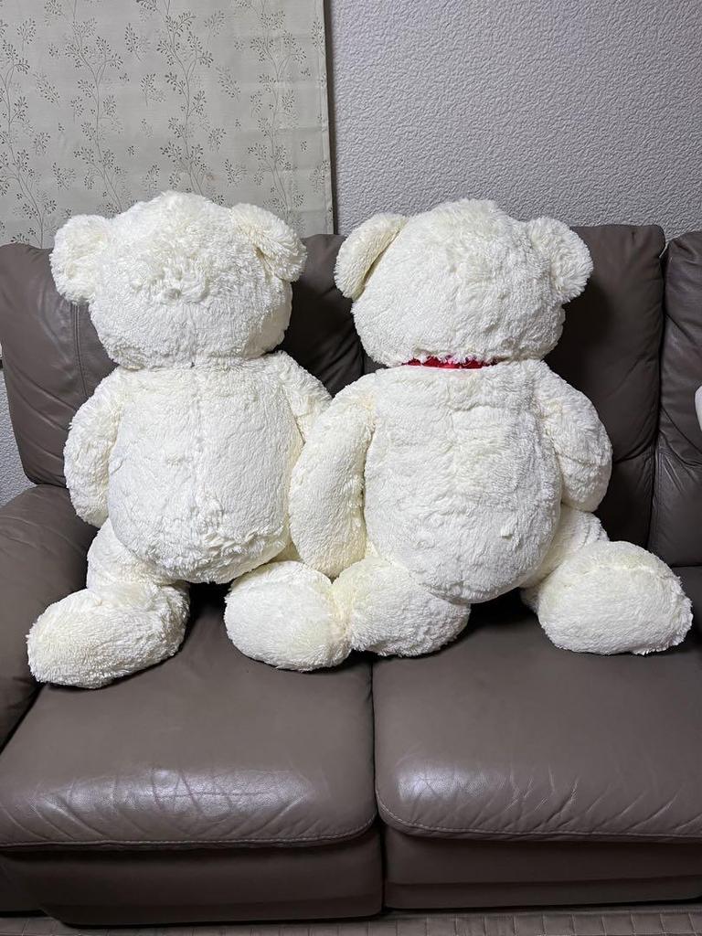 [USED] big white teddy bear
