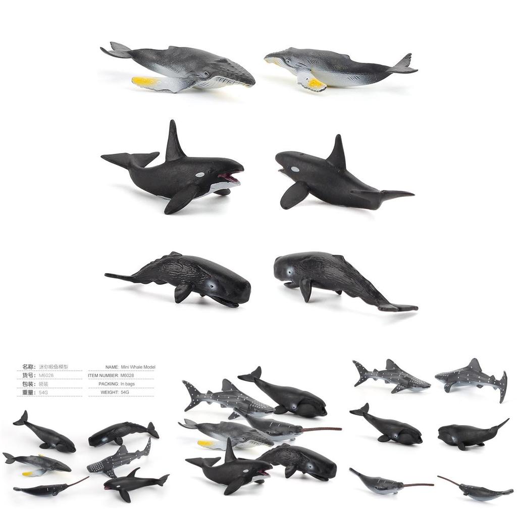 Realistic Marine Animal Models With Static Display For Aquarium Decoration And Educational Purposes