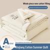 Tianhengyucheng Xinjiang Cotton Machine Washable Summer Quilt