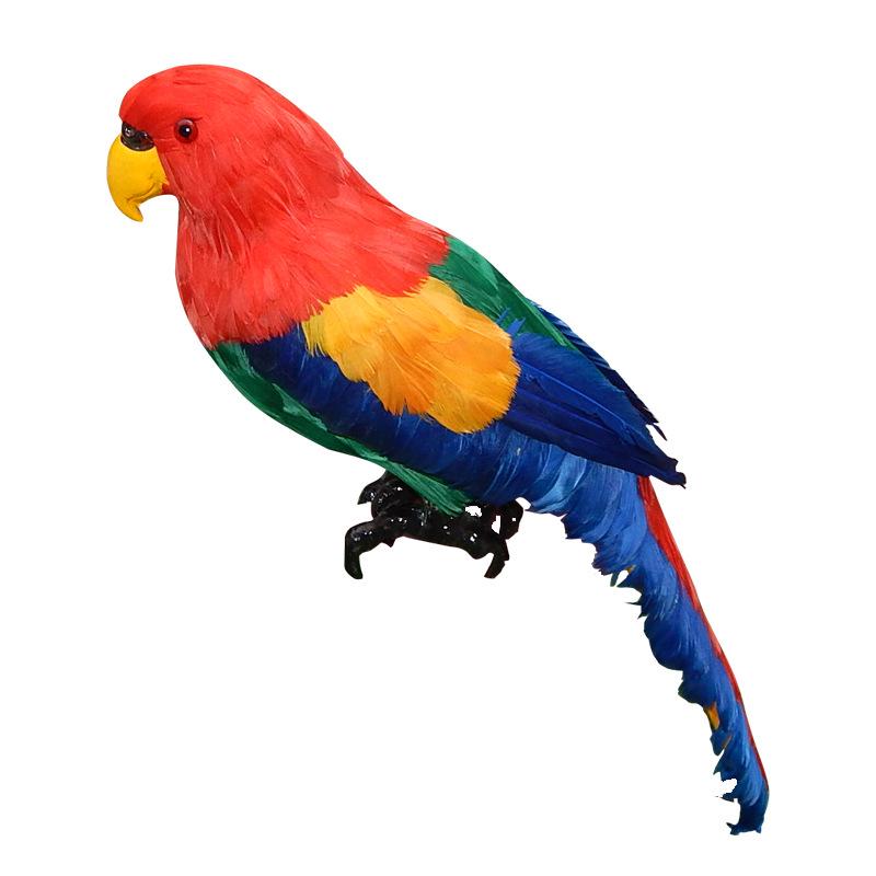 Colorful Large Parrot Decorative Ornament with Feathers