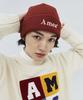 AMES-WORLDWIDE Basic Logo Beanie Brick